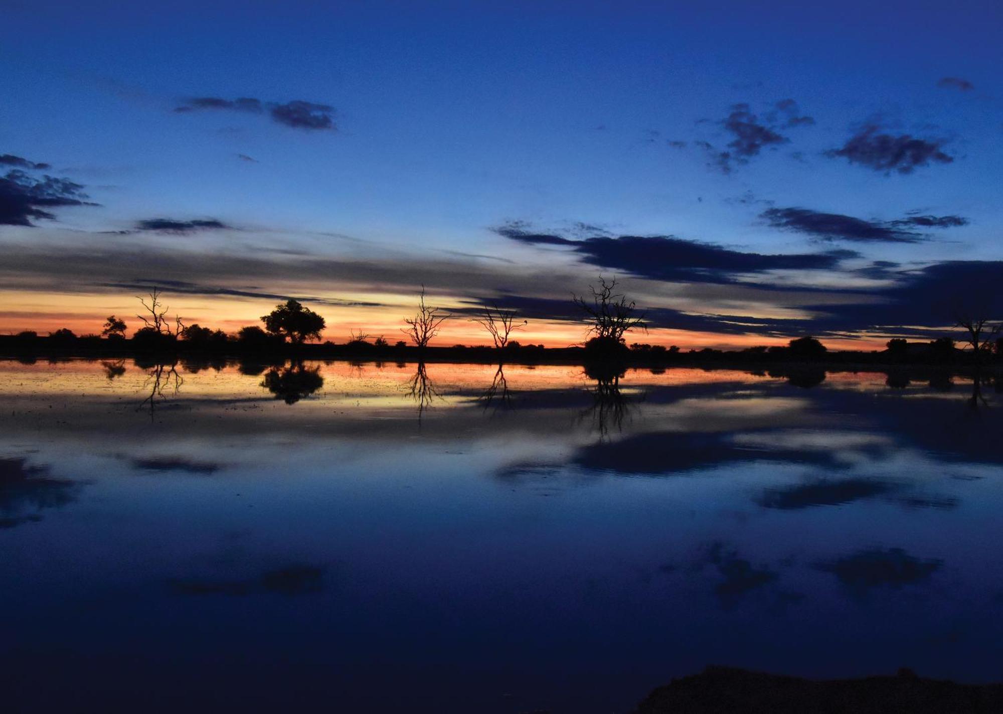 Madikwe River Lodge By Dream Resorts Madikwe Game Reserve Ngoại thất bức ảnh