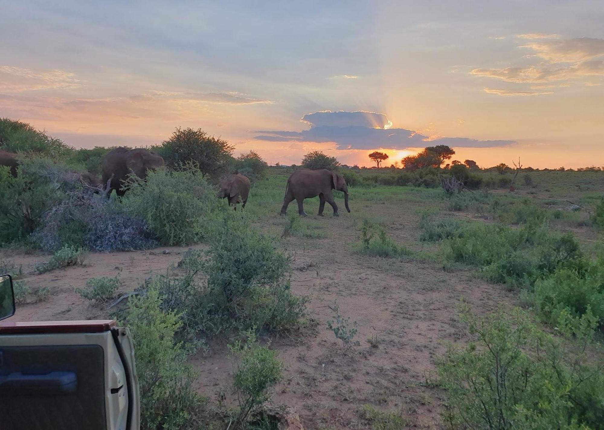 Madikwe River Lodge By Dream Resorts Madikwe Game Reserve Ngoại thất bức ảnh
