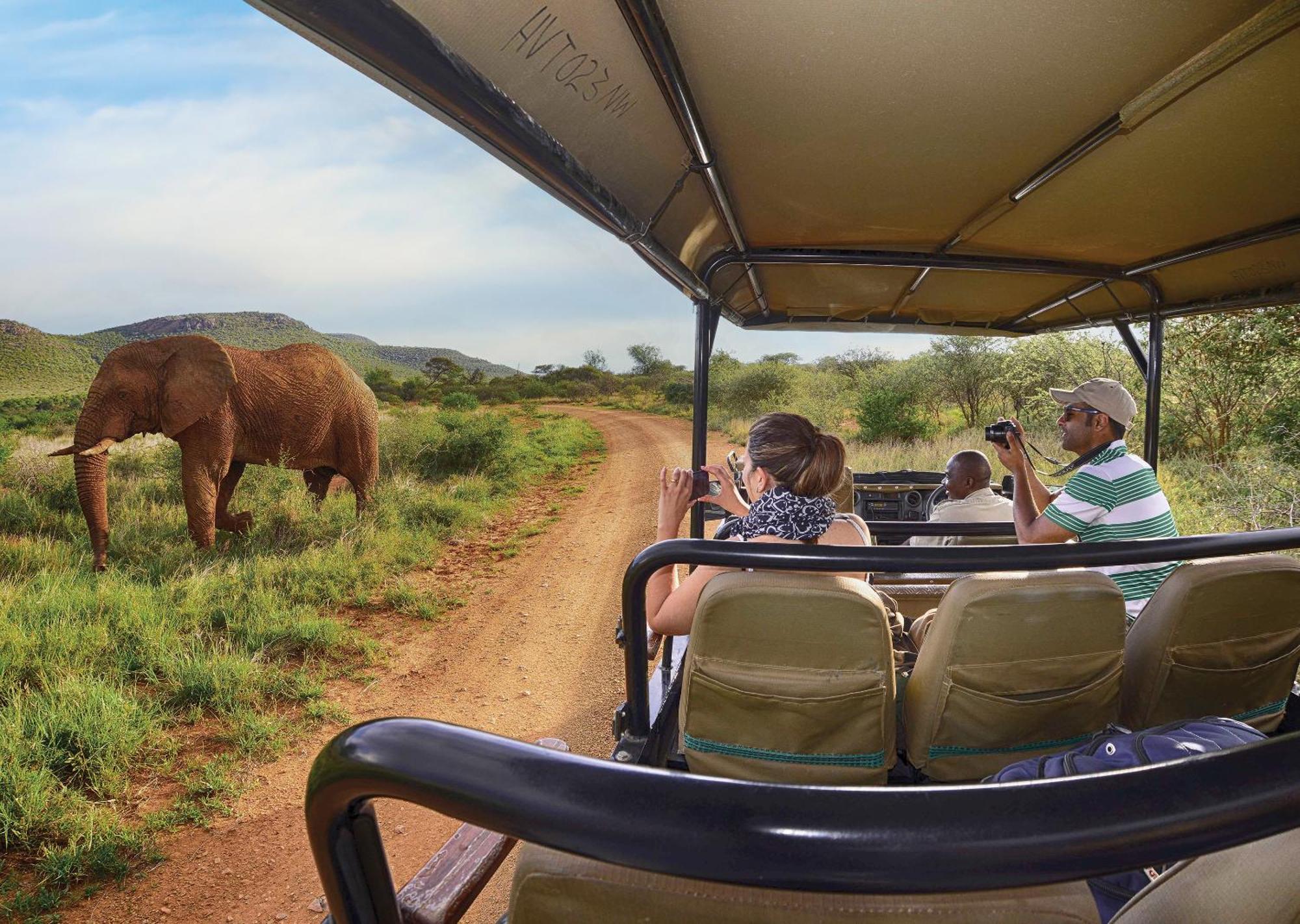 Madikwe River Lodge By Dream Resorts Madikwe Game Reserve Ngoại thất bức ảnh