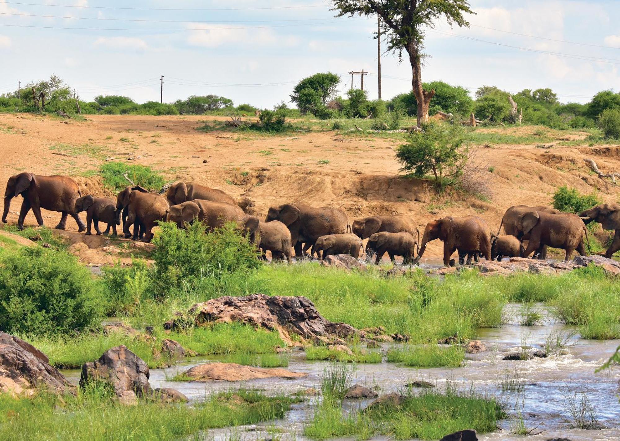 Madikwe River Lodge By Dream Resorts Madikwe Game Reserve Ngoại thất bức ảnh