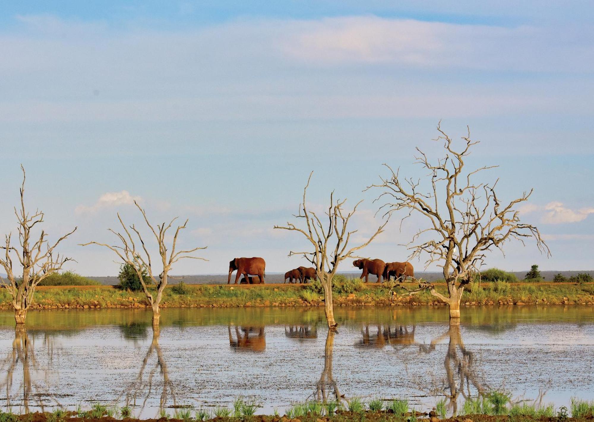 Madikwe River Lodge By Dream Resorts Madikwe Game Reserve Ngoại thất bức ảnh