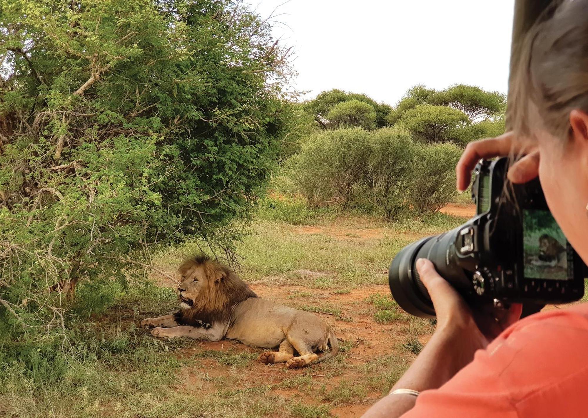 Madikwe River Lodge By Dream Resorts Madikwe Game Reserve Ngoại thất bức ảnh