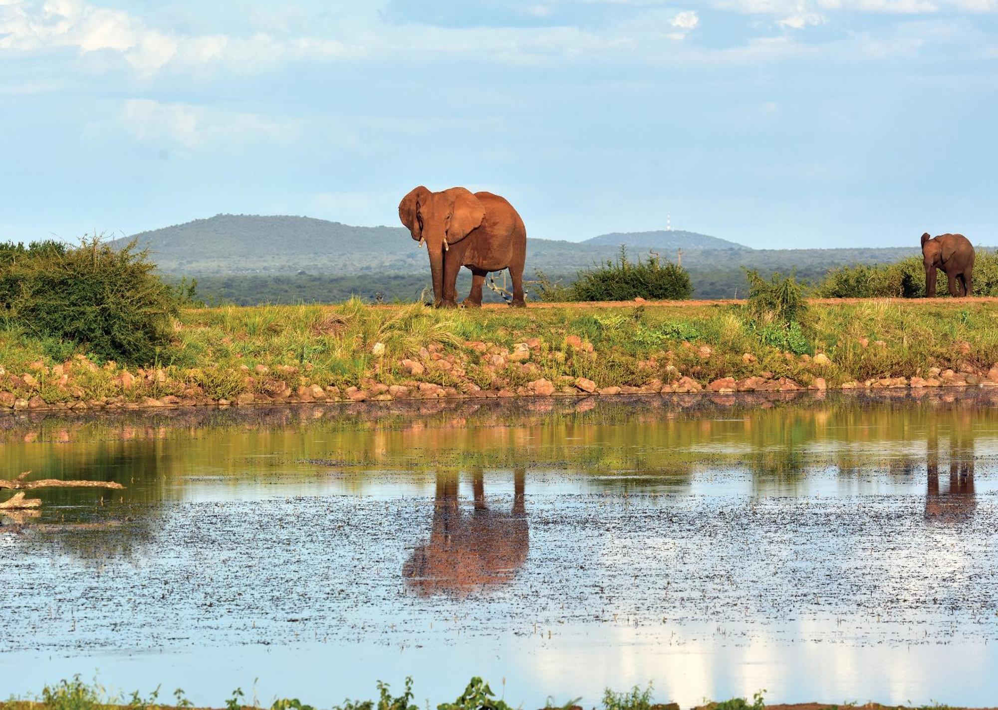 Madikwe River Lodge By Dream Resorts Madikwe Game Reserve Ngoại thất bức ảnh