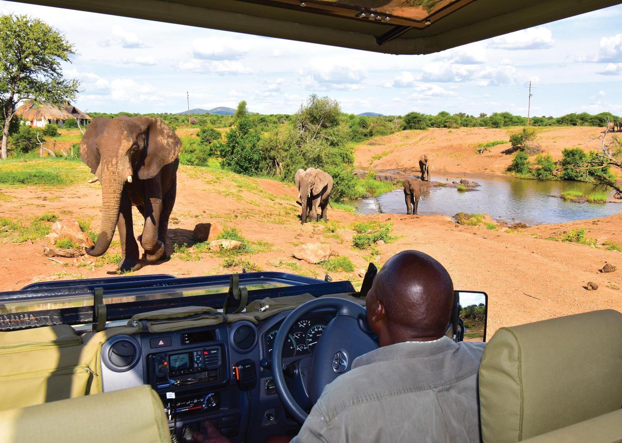 Madikwe River Lodge By Dream Resorts Madikwe Game Reserve Ngoại thất bức ảnh