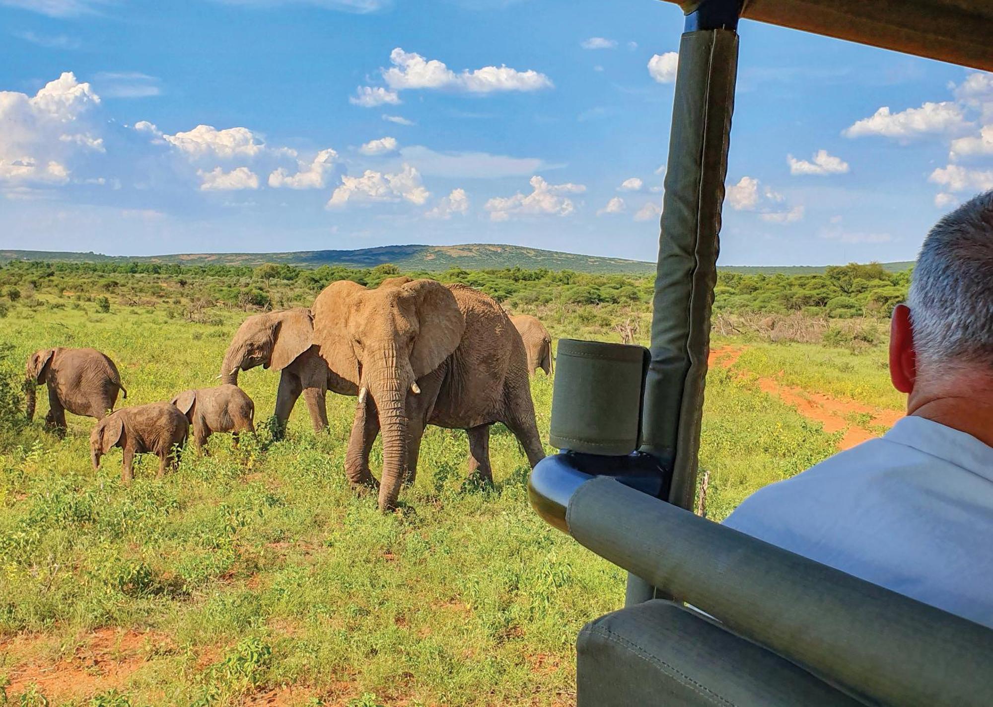 Madikwe River Lodge By Dream Resorts Madikwe Game Reserve Ngoại thất bức ảnh