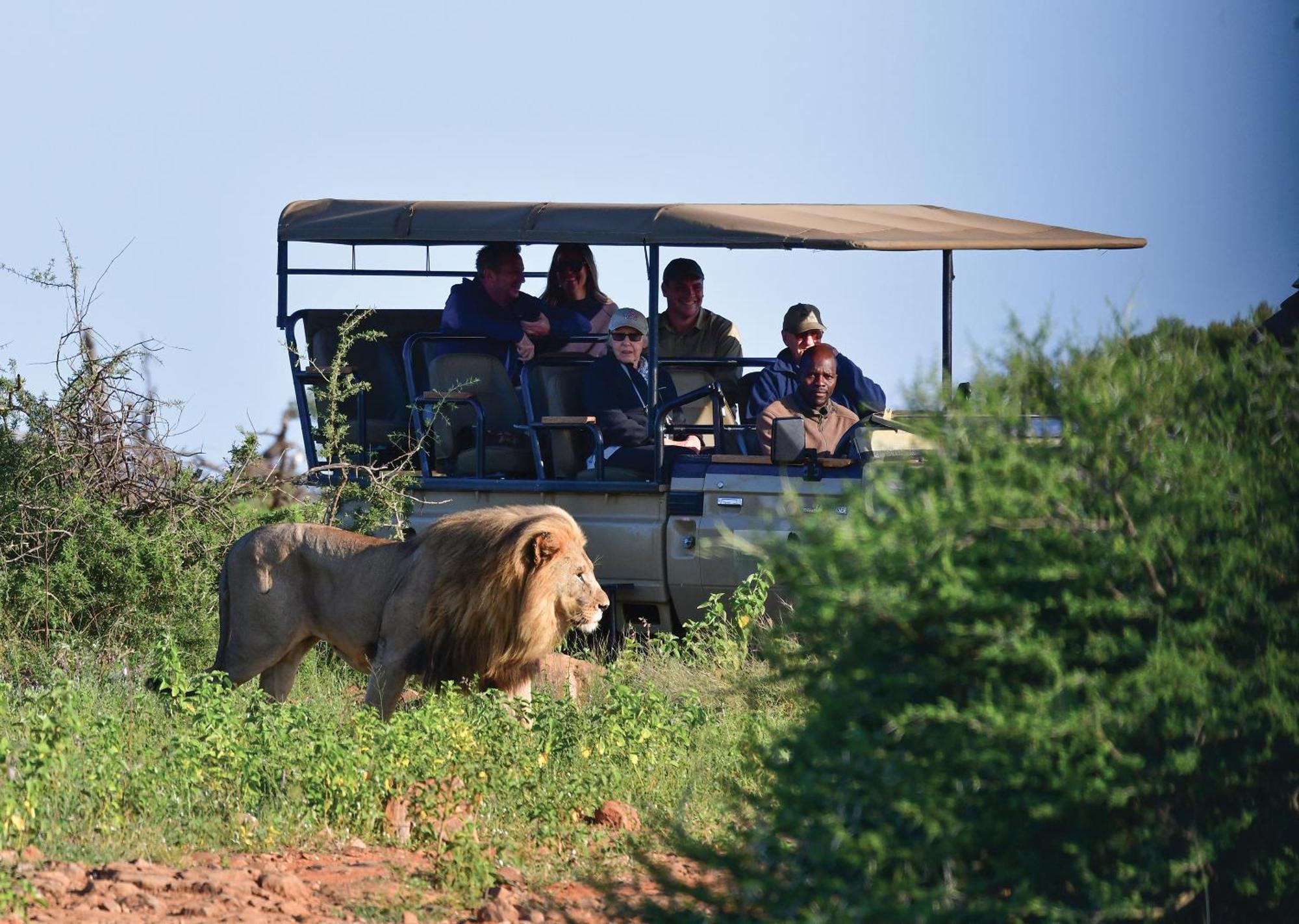 Madikwe River Lodge By Dream Resorts Madikwe Game Reserve Ngoại thất bức ảnh