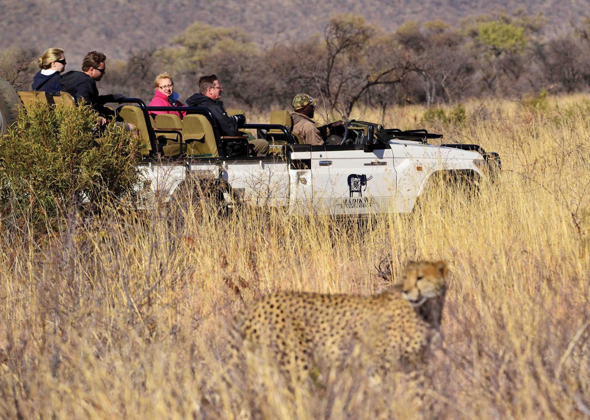 Madikwe River Lodge By Dream Resorts Madikwe Game Reserve Ngoại thất bức ảnh