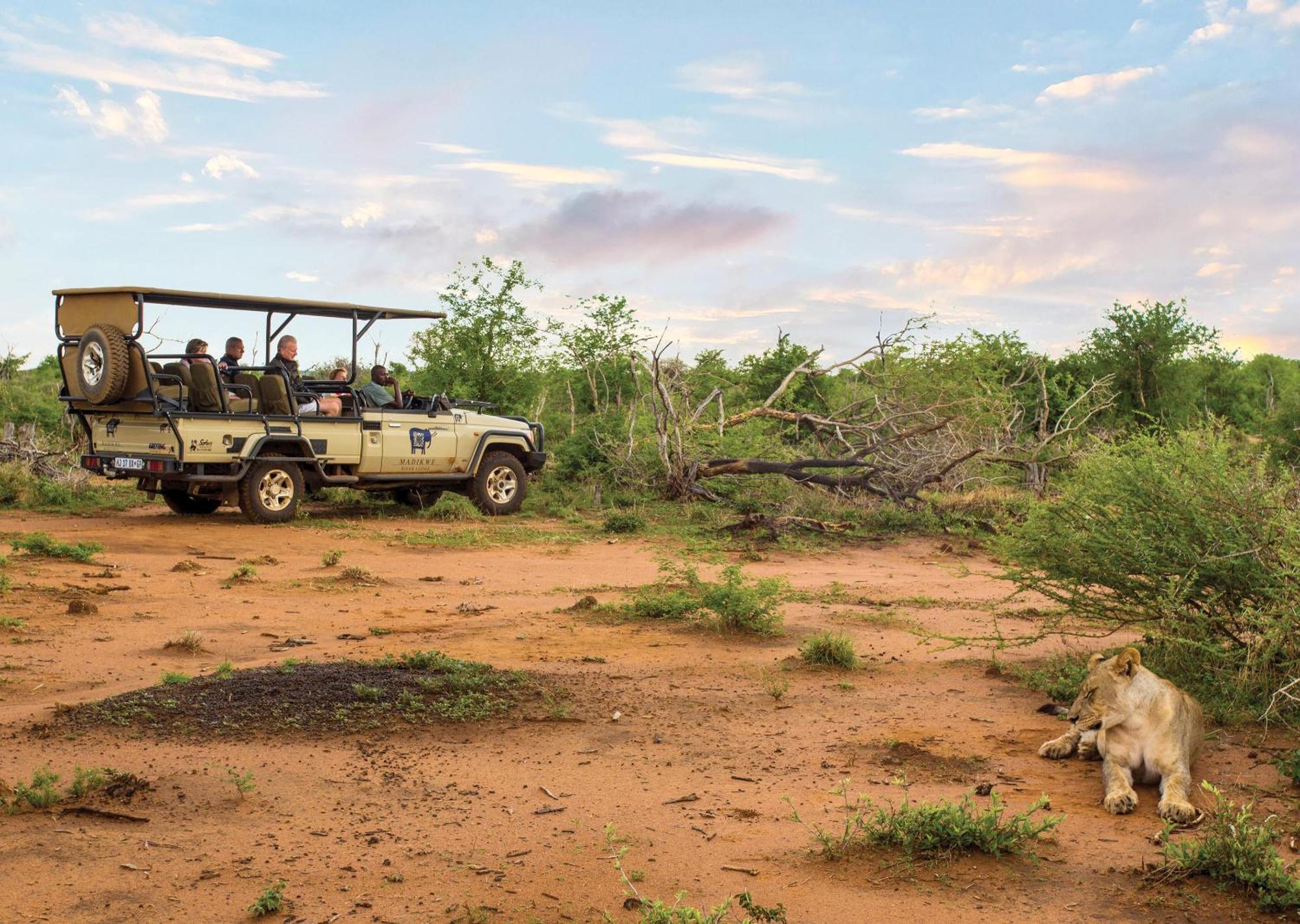 Madikwe River Lodge By Dream Resorts Madikwe Game Reserve Ngoại thất bức ảnh