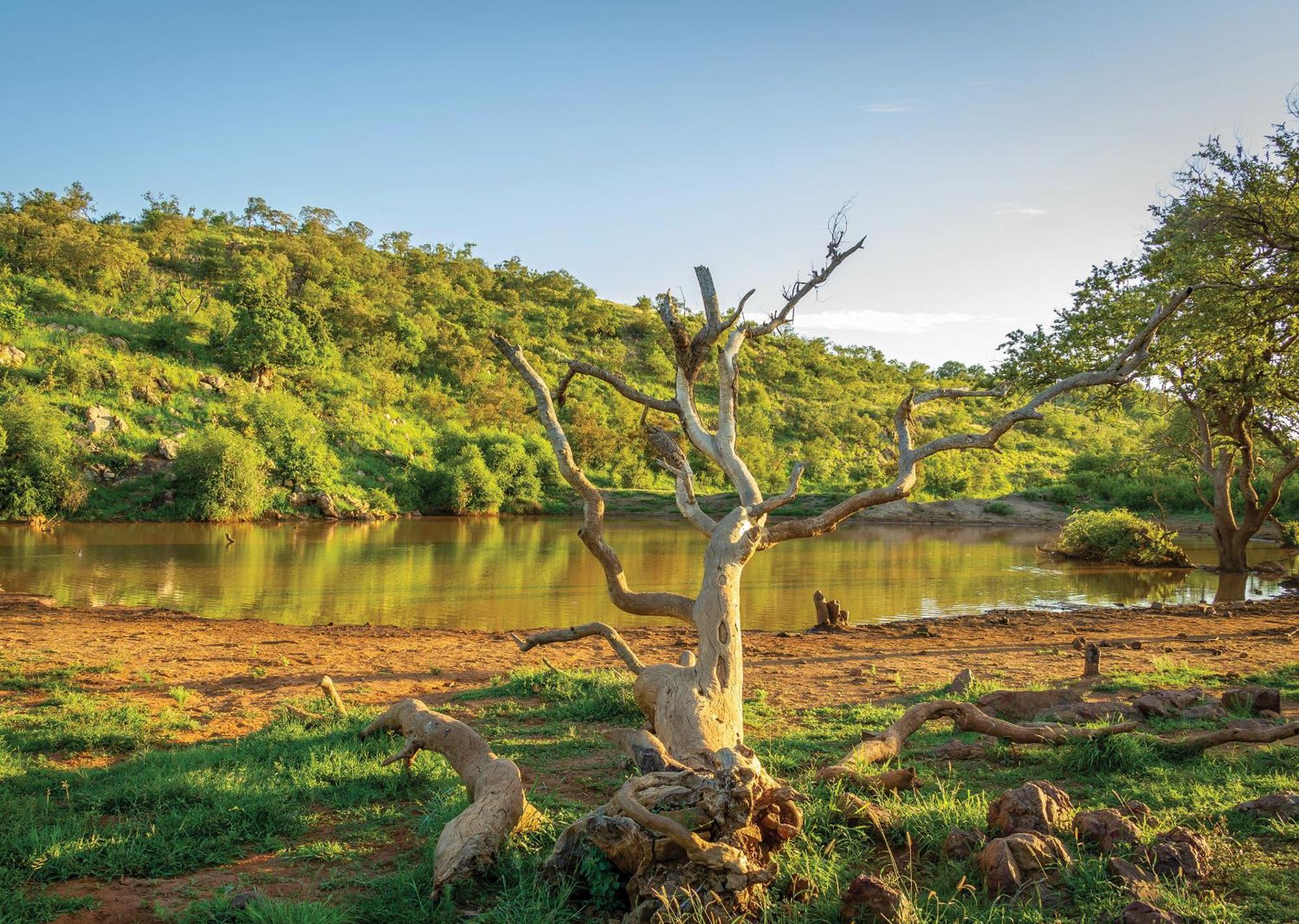 Madikwe River Lodge By Dream Resorts Madikwe Game Reserve Ngoại thất bức ảnh