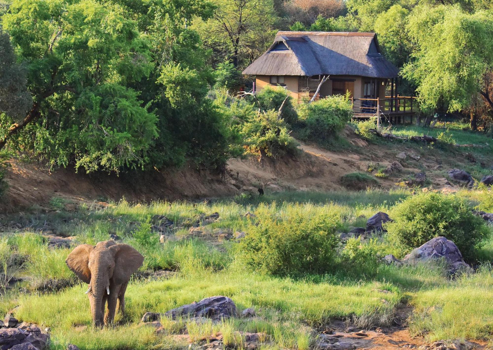 Madikwe River Lodge By Dream Resorts Madikwe Game Reserve Phòng bức ảnh