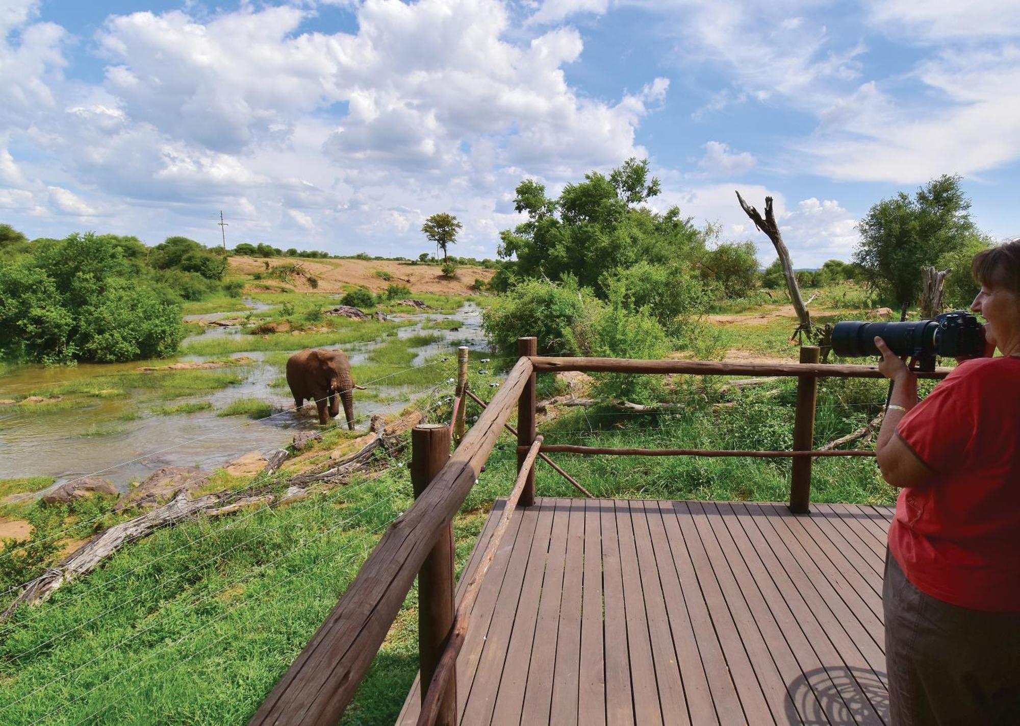 Madikwe River Lodge By Dream Resorts Madikwe Game Reserve Phòng bức ảnh