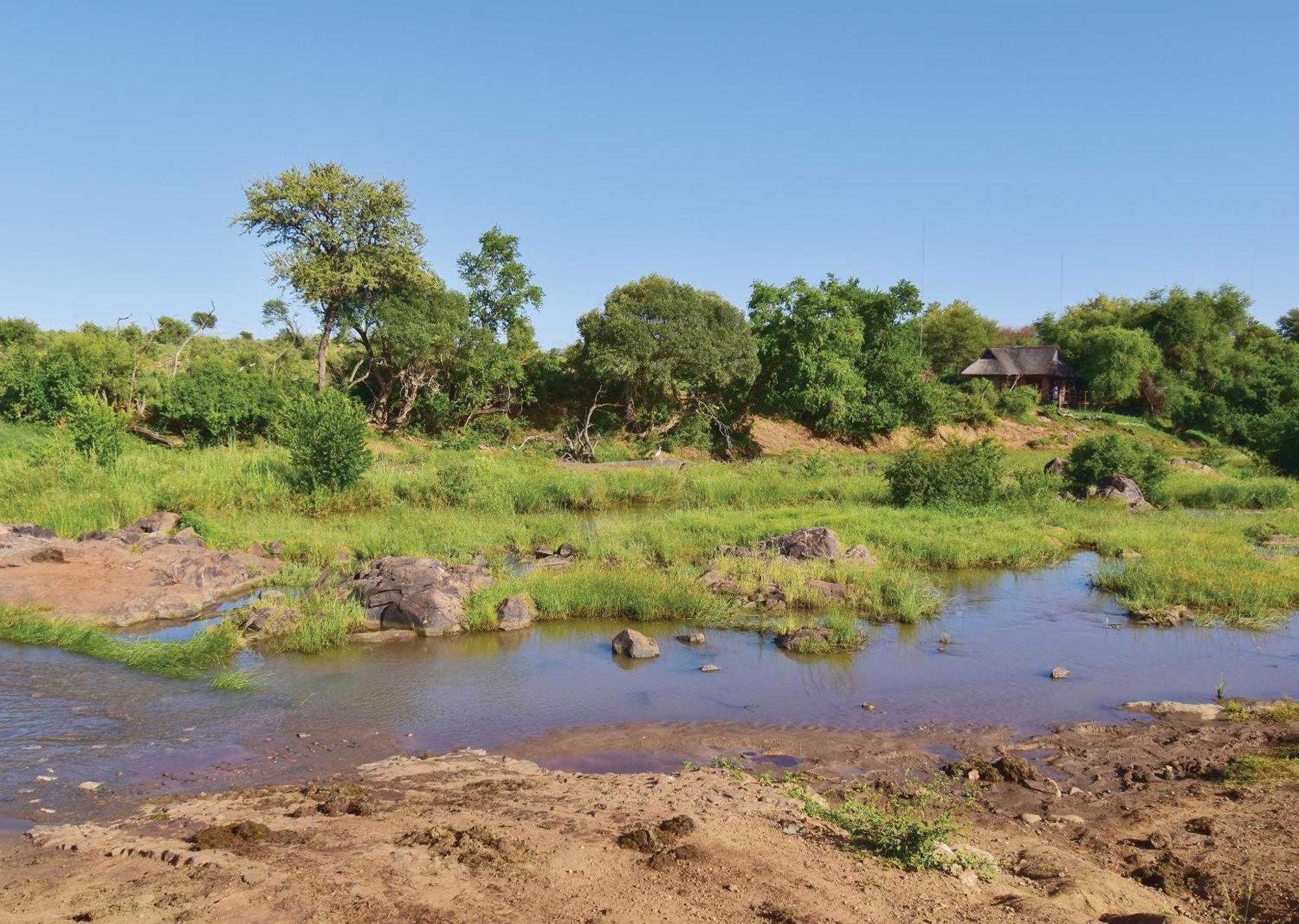 Madikwe River Lodge By Dream Resorts Madikwe Game Reserve Phòng bức ảnh