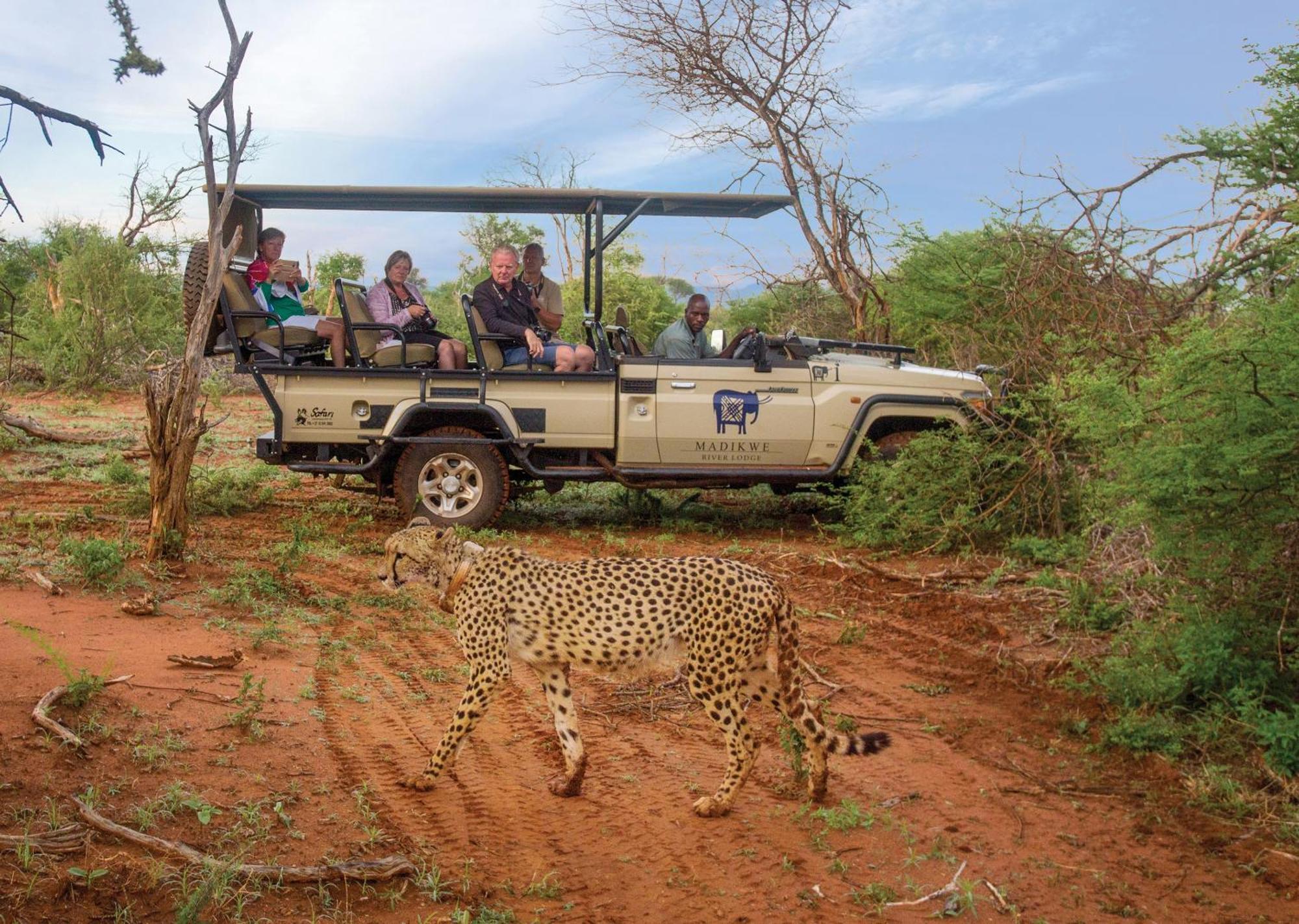 Madikwe River Lodge By Dream Resorts Madikwe Game Reserve Ngoại thất bức ảnh